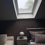Zetta Gazde/Camere de închiriat *