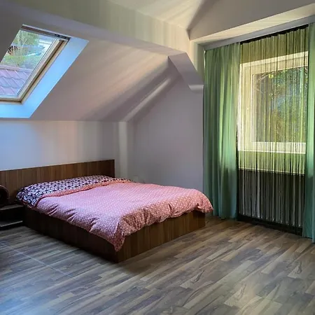 Homestay Zetta Brasov