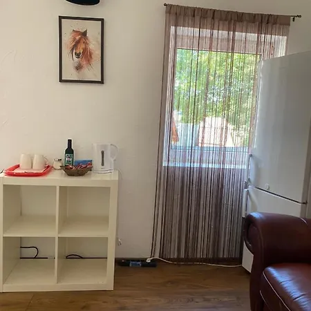 Zetta ホームステイ *