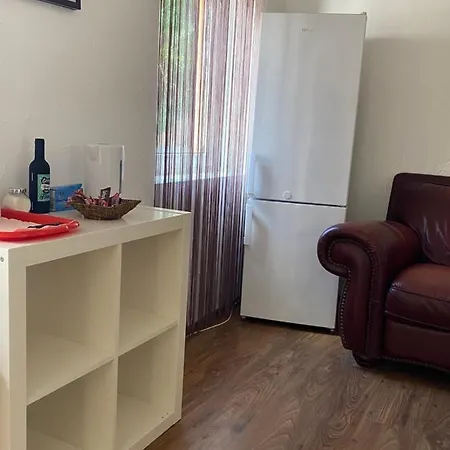 Zetta * ブラショフ