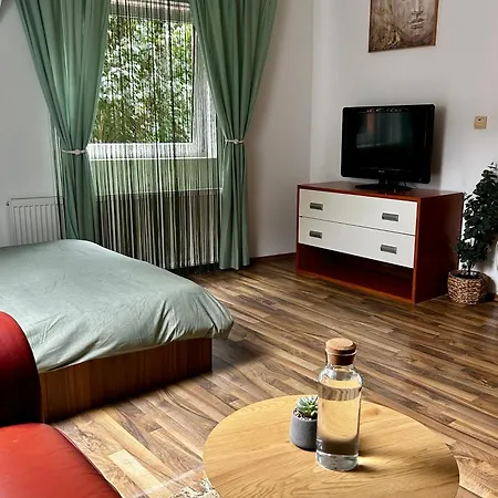 Zetta Habitación en casa particular Braşov