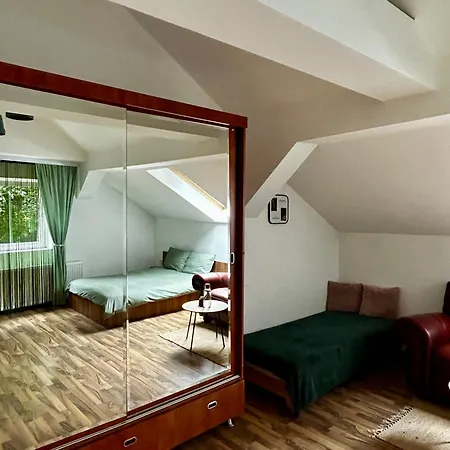 ホームステイ Zetta ブラショフ