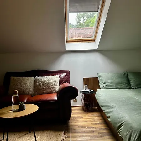 Zetta ホームステイ ブラショフ