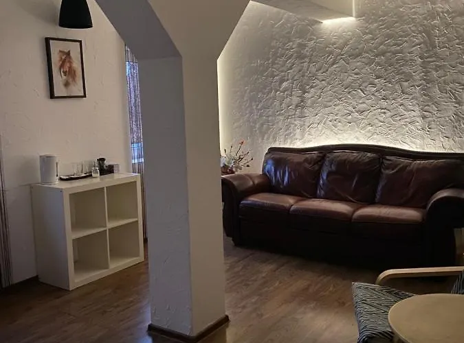 Zetta * ブラショフ