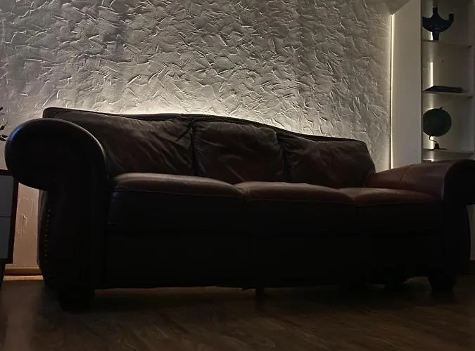 Zetta * ブラショフ