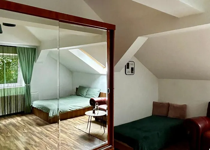 ホームステイ Zetta ブラショフ