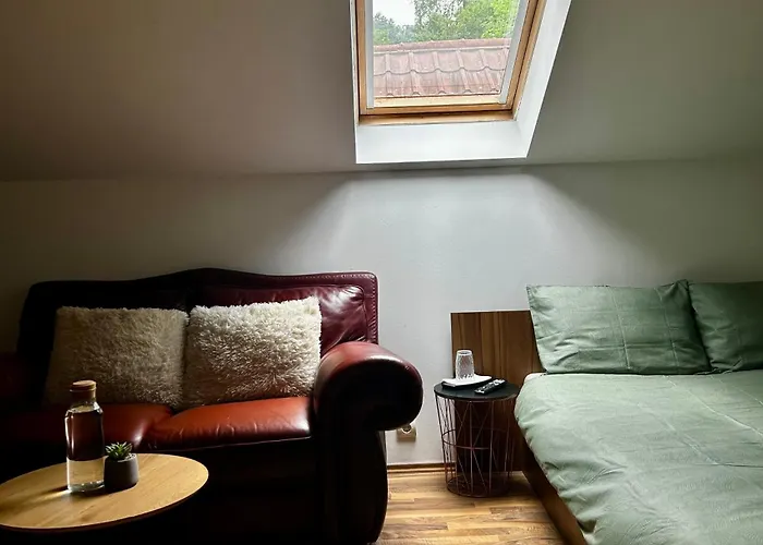 Zetta ホームステイ ブラショフ