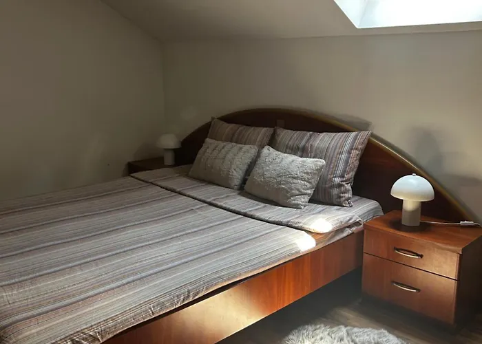 ホームステイ Zetta ブラショフ