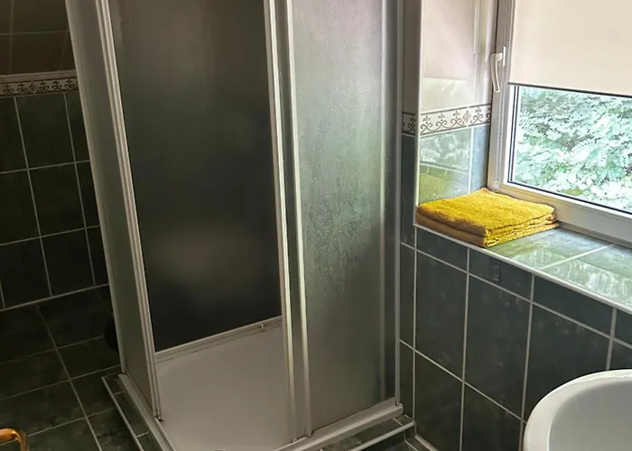 ホームステイ Zetta ブラショフ